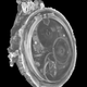 Illustration for article titled X-Rays Reveal Perfectly Preserved Mechanisms Inside 300-Year-Old Pocket Watch